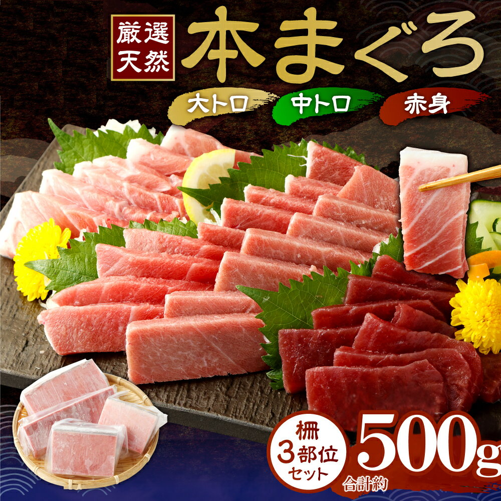 【ふるさと納税】 【厳選天然本まぐろ】 大トロ・中トロ・赤身 500g　天然まぐろ 天然マグロ まぐろ 鮪 刺身 お刺身用 サク 柵 スライス 切り落とし 高知 室戸 冷凍 瞬間冷凍 小分け 便利 tk075