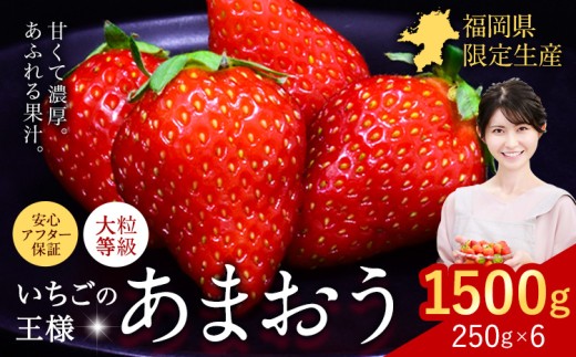 ★2027年出荷分★いちご あまおう 先行予約 1500g (約250g×6パック) 苺 送料無料【着日指定不可】《2月中旬-3月中旬頃出荷》イチゴ 果物 フルーツ 福岡県 鞍手郡 小竹町