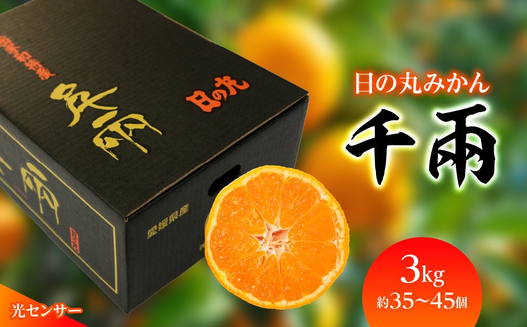 
                  日の丸みかん「千兩」3kg　約35～45個/Sまたは2Sサイズ/光センサー使用＜C79-8＞【1452031】 YWTC008
                
