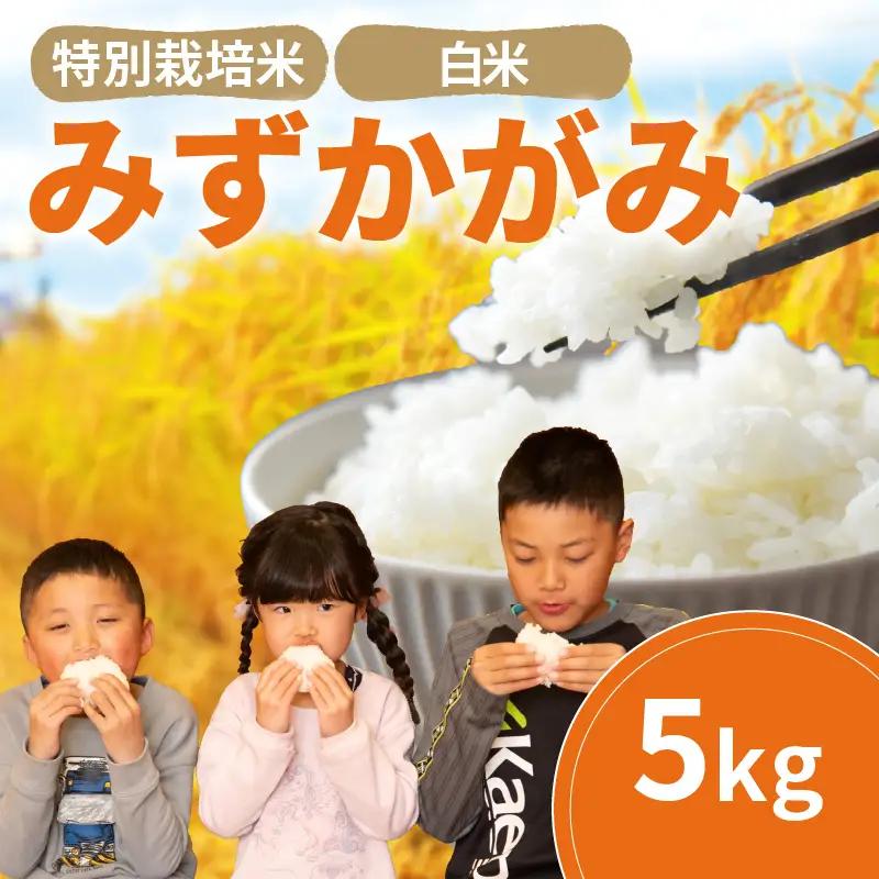 みずかがみ 白米 5kg 2025年産 竜の舞 特別栽培米 国産 安心 安全 近江米 米 お米 白米 お弁当 玄米 産地直送 滋賀県 竜王町 送料無料