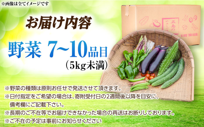旬野菜セット7～10品目（五島列島産）5kg未満  五島市/やぁしゃ便 [PBG010]