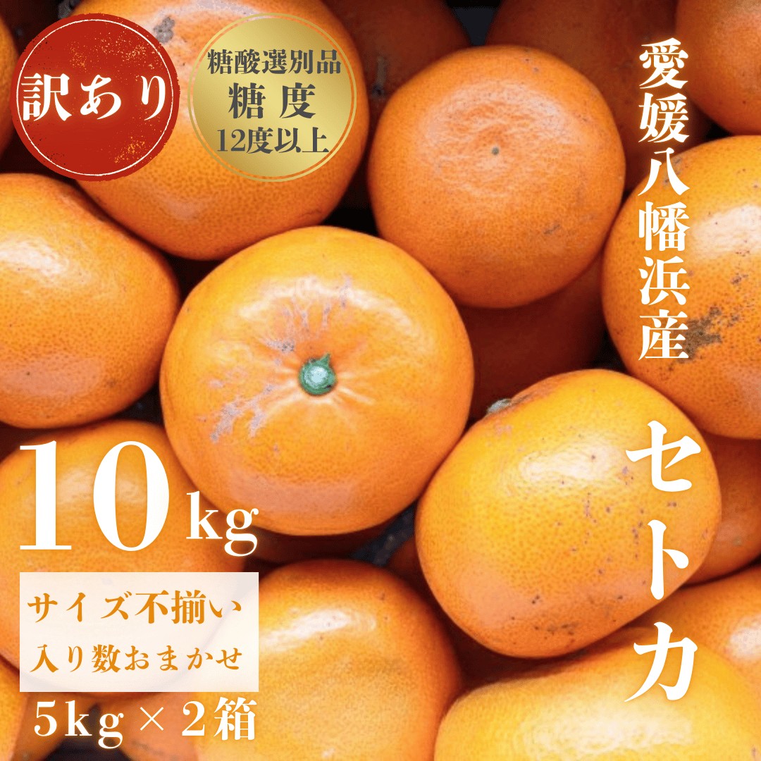 
                  ＜みかんの大トロ＞糖度12.0以上酸1.4以下 糖酸選別品 訳あり愛媛セトカ10kg＜G20-75＞_訳アリ わけあり ワケアリミカン みかん せとか フルーツ 果物 果実 くだもの 家庭用 人気 甘い ジューシー 柑橘 かんきつ 不揃い 規格外 傷 愛媛 八幡浜市 旬 産地直送 産直 季節限定【1620329】 YWTI070
                