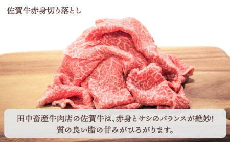 【全12回定期便】おふたりさま向け 佐賀牛 普段使いセットB【田中畜産牛肉店】農林水産大臣賞 ロース 赤身 角切り 切り落とし[HBH113] 佐賀牛 牛肉 農林水産大臣賞 佐賀牛 牛肉 ロース 佐賀