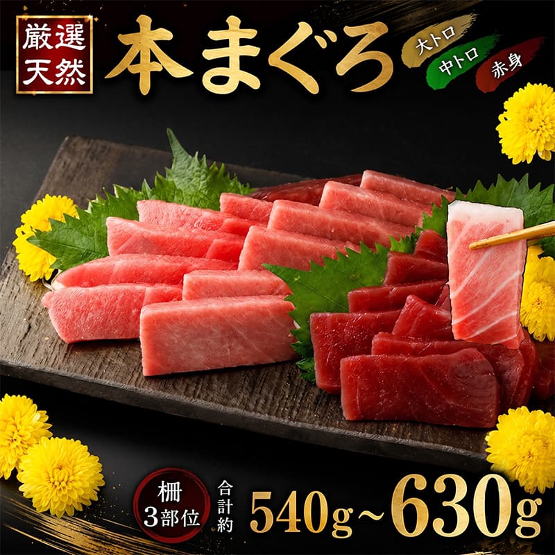 【ふるさと納税】 厳選天然本まぐろ 大トロ 中トロ 赤身 540g以上 3種セット 天然まぐろ 天然マグロ まぐろ 鮪 刺身 お刺身用 お刺身 サク 柵 スライス 切り落とし 冷凍 瞬間冷凍 冷凍配送 小分け 訳あり 規格外 便利 高知県 室戸市
