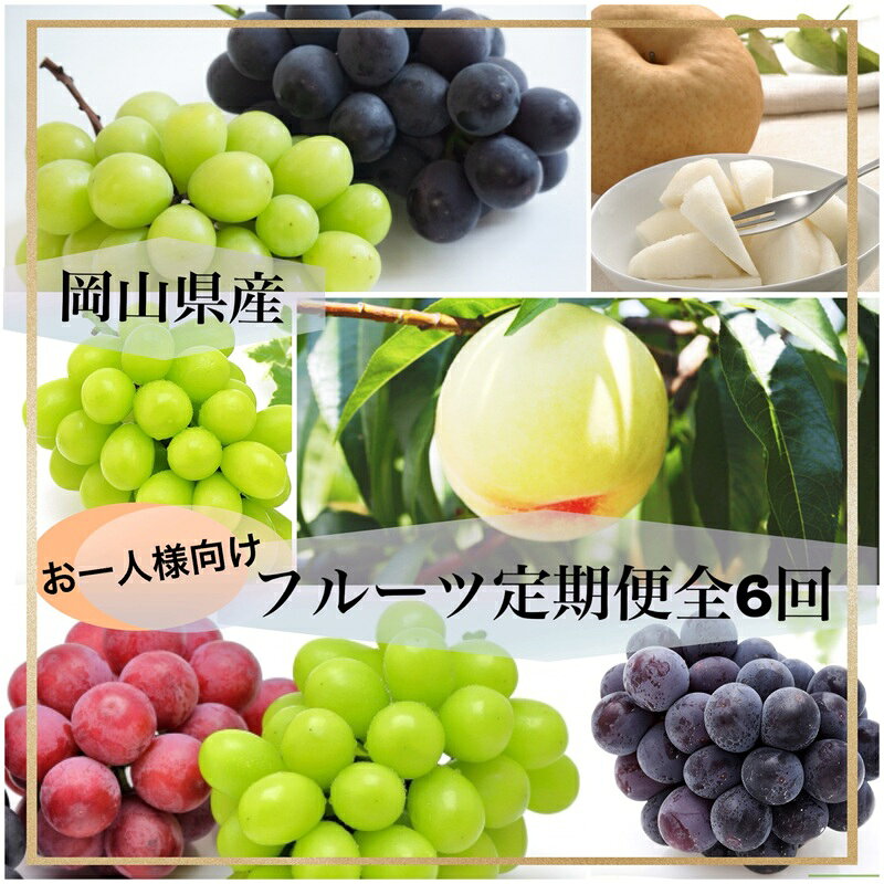 【ふるさと納税】果物 2027年 先行予約 晴れの国 岡山 の フルーツ 定期便 6回コース ＜お一人様向け＞岡山県産 桃 もも 葡萄 ぶどう 梨 なし　お届け：2027年7月上旬～2027年12月下旬