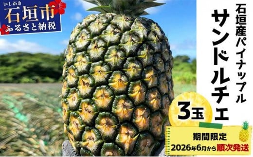 
            ＜先行予約＞ 石垣島産パイナップル サンドルチェ 3玉 (約3kg) ＜2026年6月上旬順次発送＞｜産地直送 沖縄 石垣 パイナップル パイン フルーツ トロピカル 南国
          