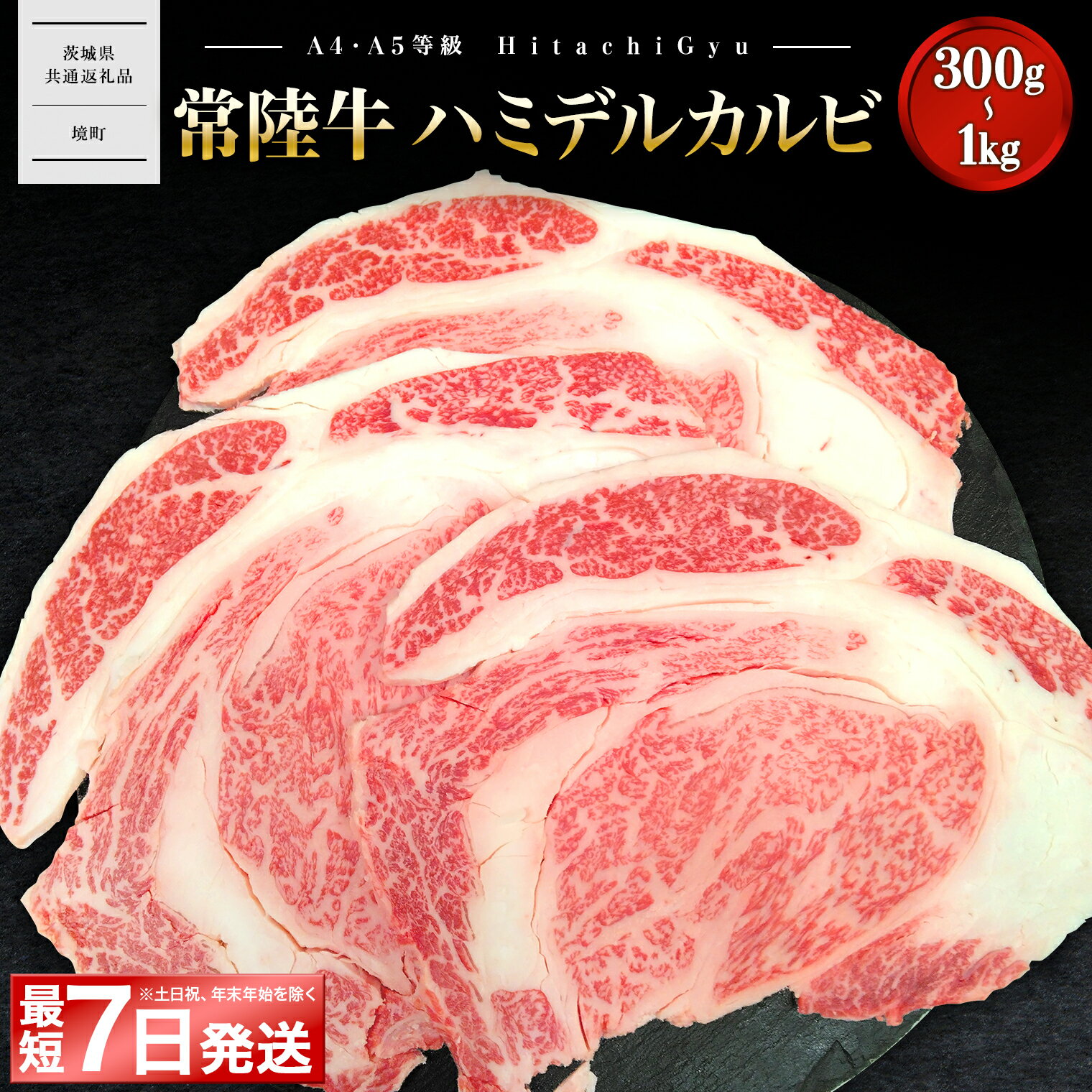 【ふるさと納税】 ＼最短7日発送／ 【常陸牛】ハミデルカルビ 300g (2～3枚) 〈茨城県共通返礼品〉｜常陸牛 茨城 牛肉 霜降り 和牛 焼肉 A5 A5ランク 400g 国産 肉 カブリ ゲタ リブ芯 リブ巻 BBQ はみでる ハミデル リブロース　茨城共通返礼品