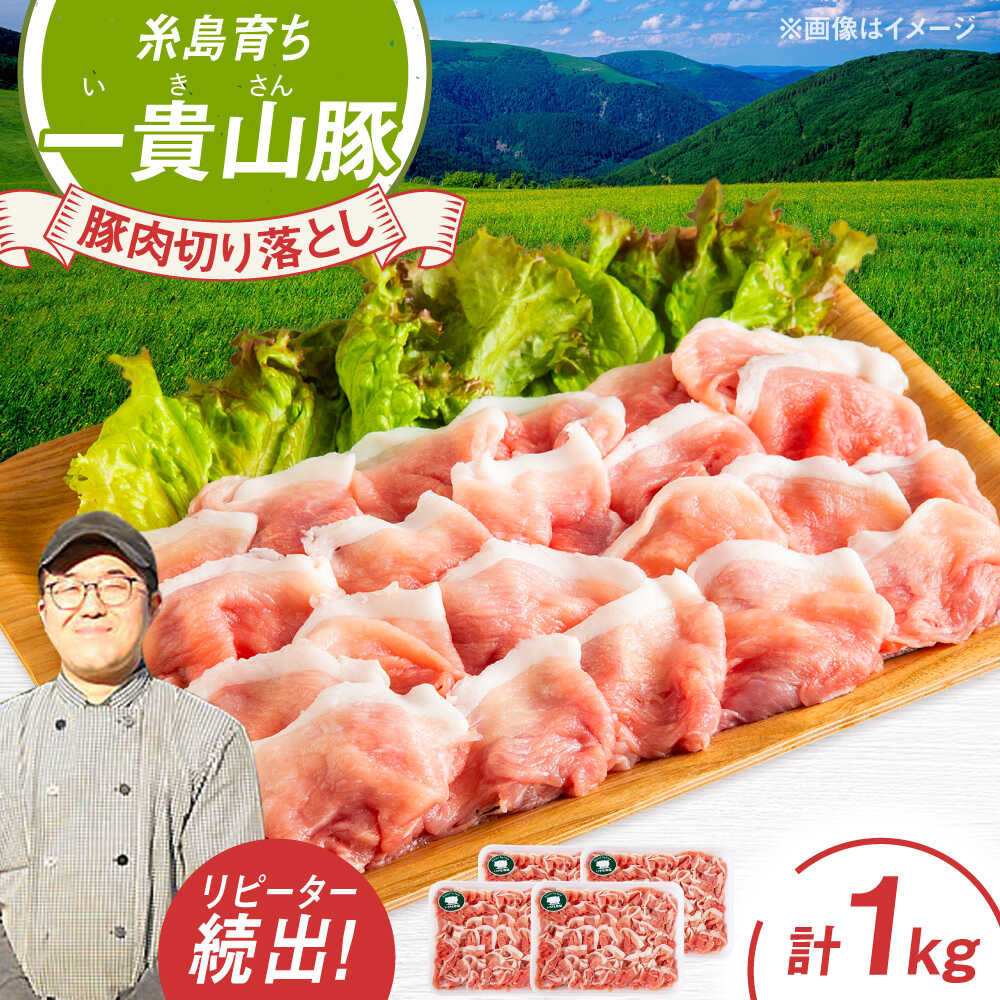 【ふるさと納税】一貴山豚 切り落とし 計1kg(250g×4p) 糸島市 / いきさん牧場 豚肉 [AGB057] 9000円 9千円