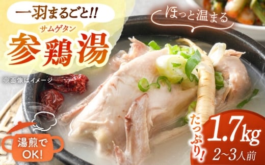参鶏湯（サムゲタン）1羽分 ▼ 鍋 鍋セット 韓国 韓国料理 真空パック 本格 滋養強壮 薬膳 疲労回復 夏バテ 美容 健康 高級 人気 おすすめ 高品質 ランキング 高評価 レトルト 冷凍 お取り寄せ ギフト お祝い 贈答 保存食 送料無料 通販 桂川町/マルマツ産業株式会社 [ADAE002]