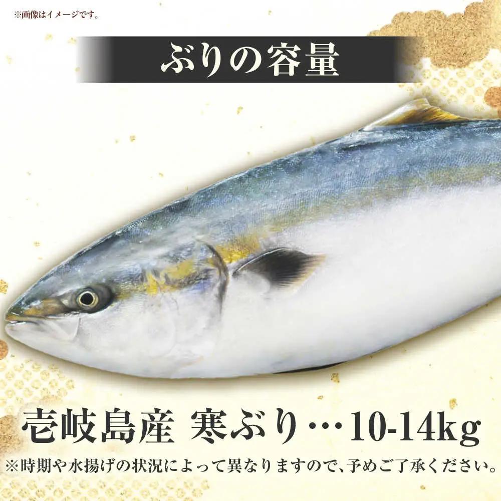 ブリの出張解体ショー《壱岐市》【壱岐島 玄海屋】[JBS128]
