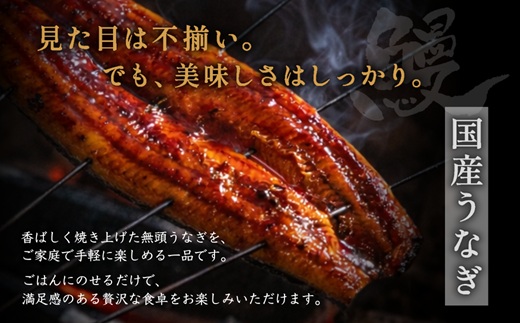 ZI399.【不揃い訳あり】うなぎの蒲焼き1尾セット