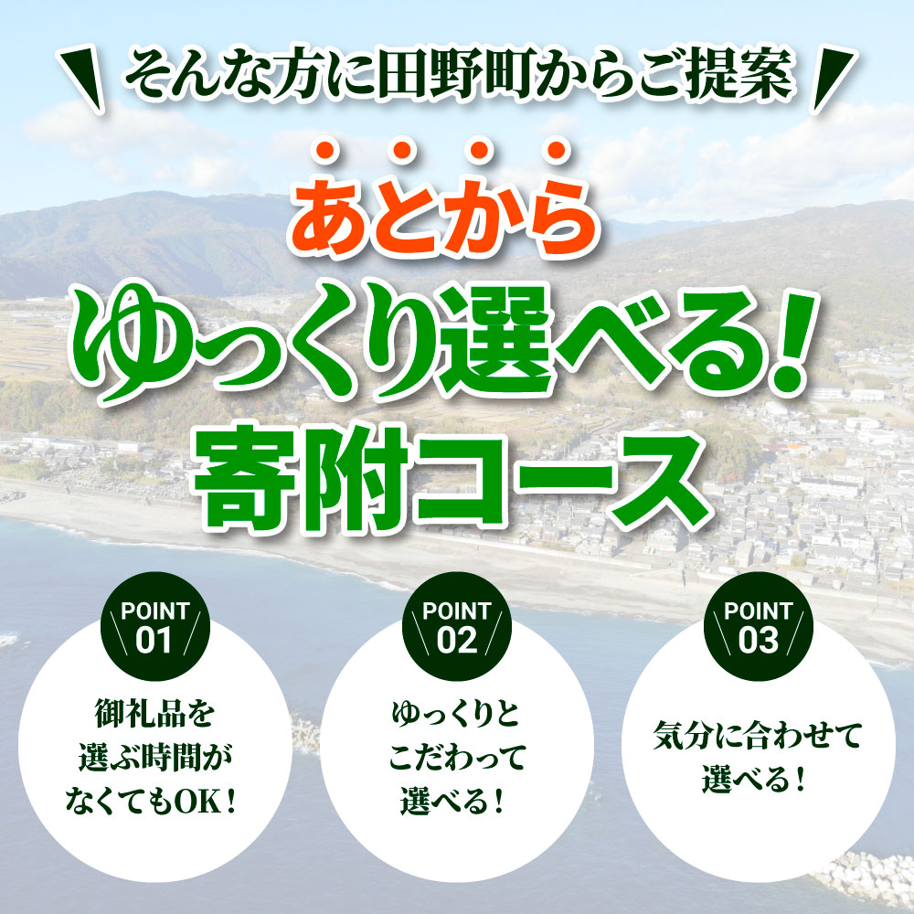 返礼品は後からゆっくり選べる寄附コース★C★ あとから選べる おすすめ 人気 カツオ カツオのたたき うなぎ 鰻 肉 酒 塩 魚 魚介 カタログ 300000円