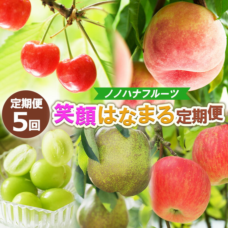 【ふるさと納税】【定期便5回】ノノハナフルーツ 笑顔はなまる定期便 FY25-329