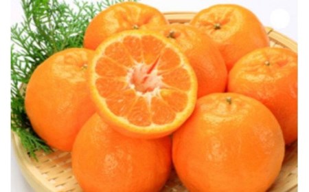 果汁100％！くしもとポンカンジュース 900g ×3本セット 無添加 果肉入りストレートジュース【sse206A】