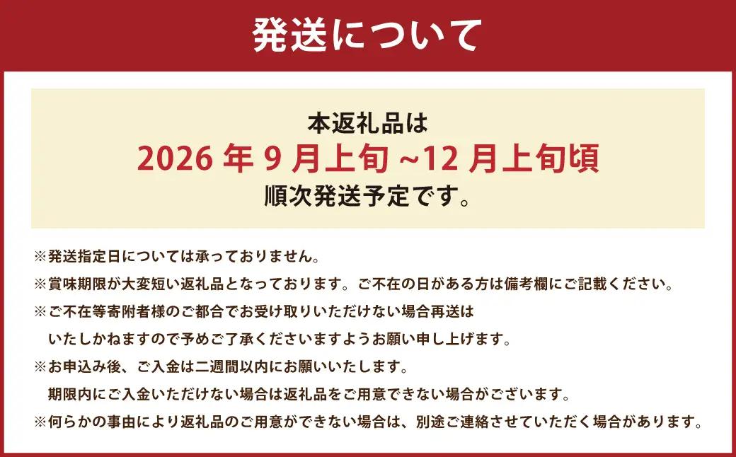  北海道産 在来種 ピンクにんにく 約1kg ニンニク ガーリック にんにく 大蒜 薬味 浦臼町 北海道【2026年9月上旬~12月上旬頃発送予定】