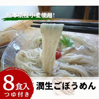 潤生ごぼうめん８食入り