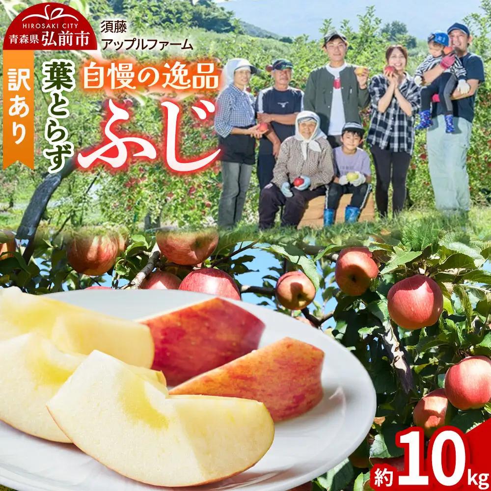 【26年11月下旬～発送】りんご 葉とらず ふじ【訳あり】約10kg 先行受付 家庭用 青森県 弘前市 果物 フルーツ 林檎 リンゴ くだもの 不揃い 規格外