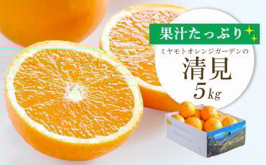 
            ＜2025年4月上旬出荷＞果汁たっぷり ジューシー清見5kg＜E25-126＞_ みかん ミカン 柑橘 フルーツ ふるーつ 果物 くだもの 青果 清見 きよみ 甘い ジューシー 愛媛 希少 産直 産地直送 【1268370】
          
