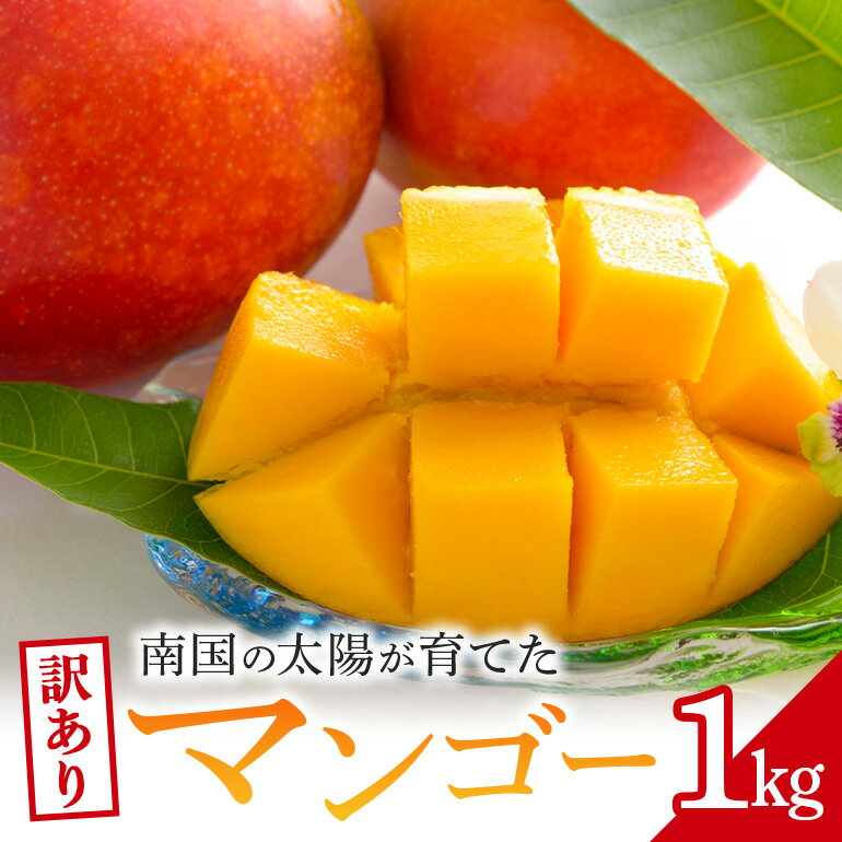 【ふるさと納税】訳ありマンゴー 1kg 沖縄県産 マンゴー 訳あり 1キロ 訳アリ 国産 完熟マンゴー 果物 南国 くだもの フルーツ 完熟 夏 旬 特産品 沖縄 取り寄せ 産地直送 農家直送 甘い 濃厚 糸満市