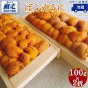 【ふるさと納税】【オホーツク海 北海道網走産限定】生エゾばふんうに 冷蔵100g×2折 【 ふるさと納税 人気 おすすめ ランキング 生うに エゾばふんうに ウニ 雲丹 2折 新鮮 冷蔵 網走産 オホーツク 北海道 網走市 送料無料 】 ABC009