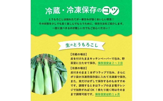 【先行受付】【2027年7月下旬～8月15日頃配送】北海道十勝芽室町 なまら十勝野のスイートコーン ゴールドラッシュ(30本) me001-011-27b／ゴールドラッシュ コーン とうもろこし 生 