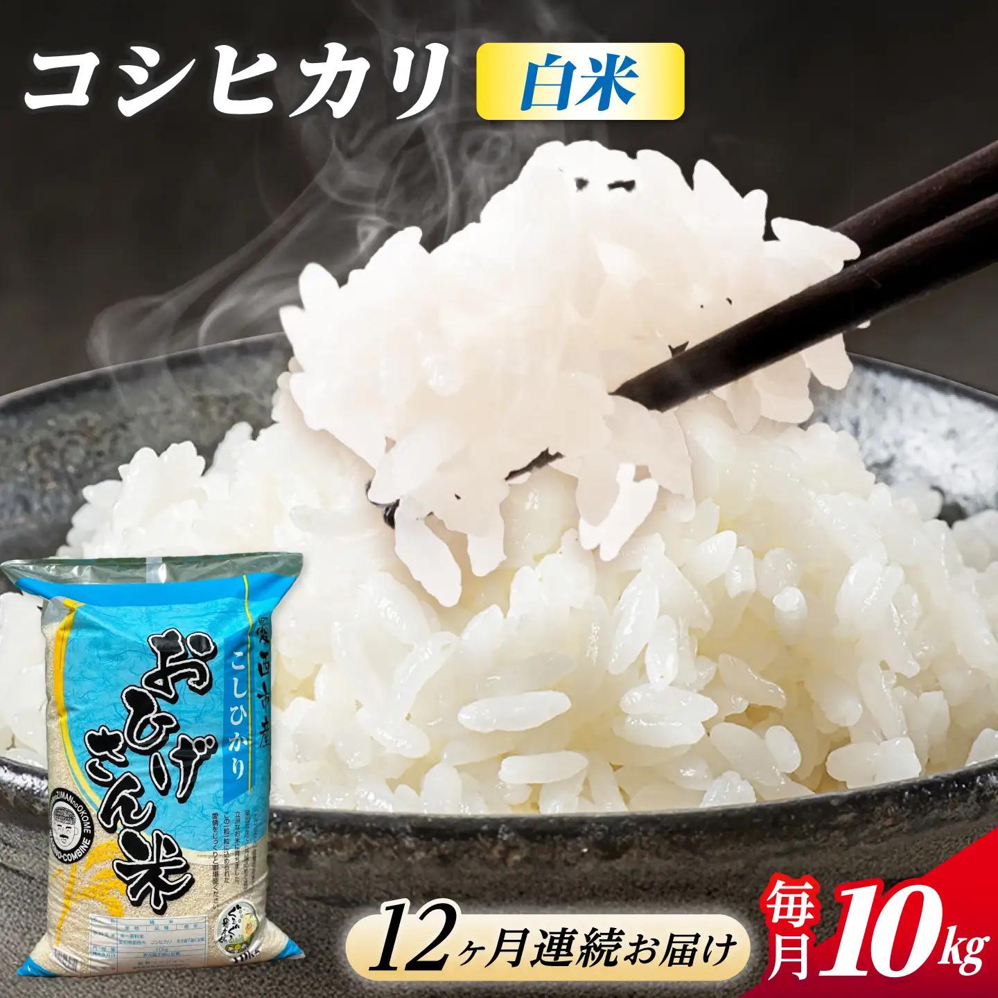 【12回定期便】コシヒカリ 白米 10kg×12か月 / 脇野コンバイン[AECP029]