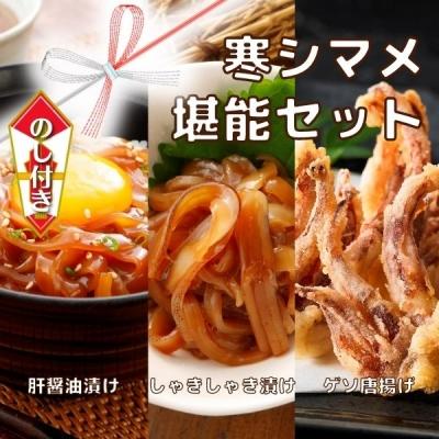 ふるさと納税 海士町 【のし付き】スルメイカ 堪能セット 肝醤油漬け しゃきしゃき漬け 唐揚げ 寒シマメ いか CAS