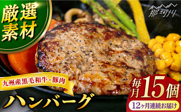 
            【全12回定期便】九州産黒毛和牛と九州産豚肉 ハンバーグ 15個セット＜なかがわ市場 うしじま＞那珂川市 ハンバーグ 豚肉 牛肉 合い挽き [GAR013]
          