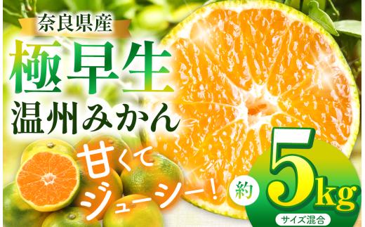 G25 温州みかん 極早生 約5kg（サイズ混合） | 果物 くだもの フルーツ 極早生 温州みかん みかん ミカン 減農薬栽培 奈良県 大淀町 季節限定 産地直送 真田園 メディア紹介