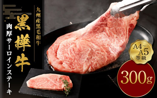 ステーキ 牛肉 A4～A5等級 肉厚 サーロインステーキ 300g×1パック 和牛 黒毛和牛 冷凍 熊本県産 九州産 国産 九州産黒毛和牛 杉本本店 黒樺牛 アウトドア BBQ キャンプ