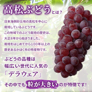 【令和6年度発送分】高松ぶどう１箱（約２キロ入り）デラウェア・種無し・毎年大人気・甘くて粒が大きく食べごたえ抜群