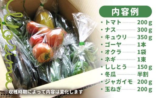 【数量限定】【2026年予約受付】（7月～発送開始） 自然栽培 朝採れ 野菜セット 5～8種 | 先行予約 新鮮 野菜 採れたて トマト ナス キュウリ ゴーヤ オクラ ネギ ししとう 冬瓜半割 ジャ