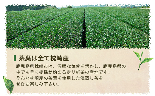 【2026年5月以降発送】浅蒸し煎茶(100g×1袋)【若蒸し煎茶】【合計100g】X0-17【配送不可地域：離島】