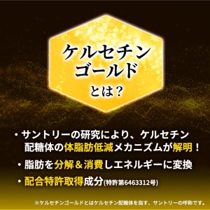 お茶 定期便 3ヶ月 特茶 500ml 24本 お茶
