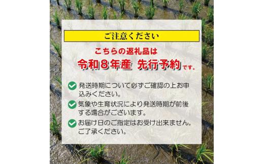 【令和8年産】 コシヒカリ10kg 白米 特別栽培米 (2kg×5袋) 白米 米 こしひかり こめ 大粒 ごはん おにぎり お弁当 農家直送 産地直送 ふるさと納税 姉﨑農園 新潟産 新潟県 新発田市