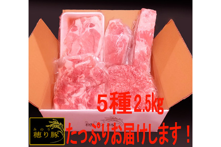 No.840 坂東市産の豚肉バラエティセット　約2.5kg