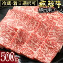 【ふるさと納税】 飛騨牛 ロース(500g)焼肉用 冷蔵 A4 A5 霜降り 黒毛和牛 和牛 牛肉 肉 焼き肉 BBQ バーベキュー アウトドア 日付指定 時間指定 y14-48 送料無料