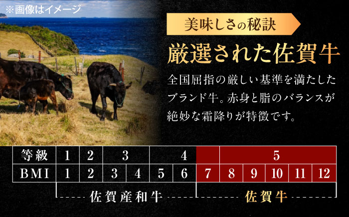 佐賀牛 ロース 焼肉用 500g /MKミート武雄 [UEM054]