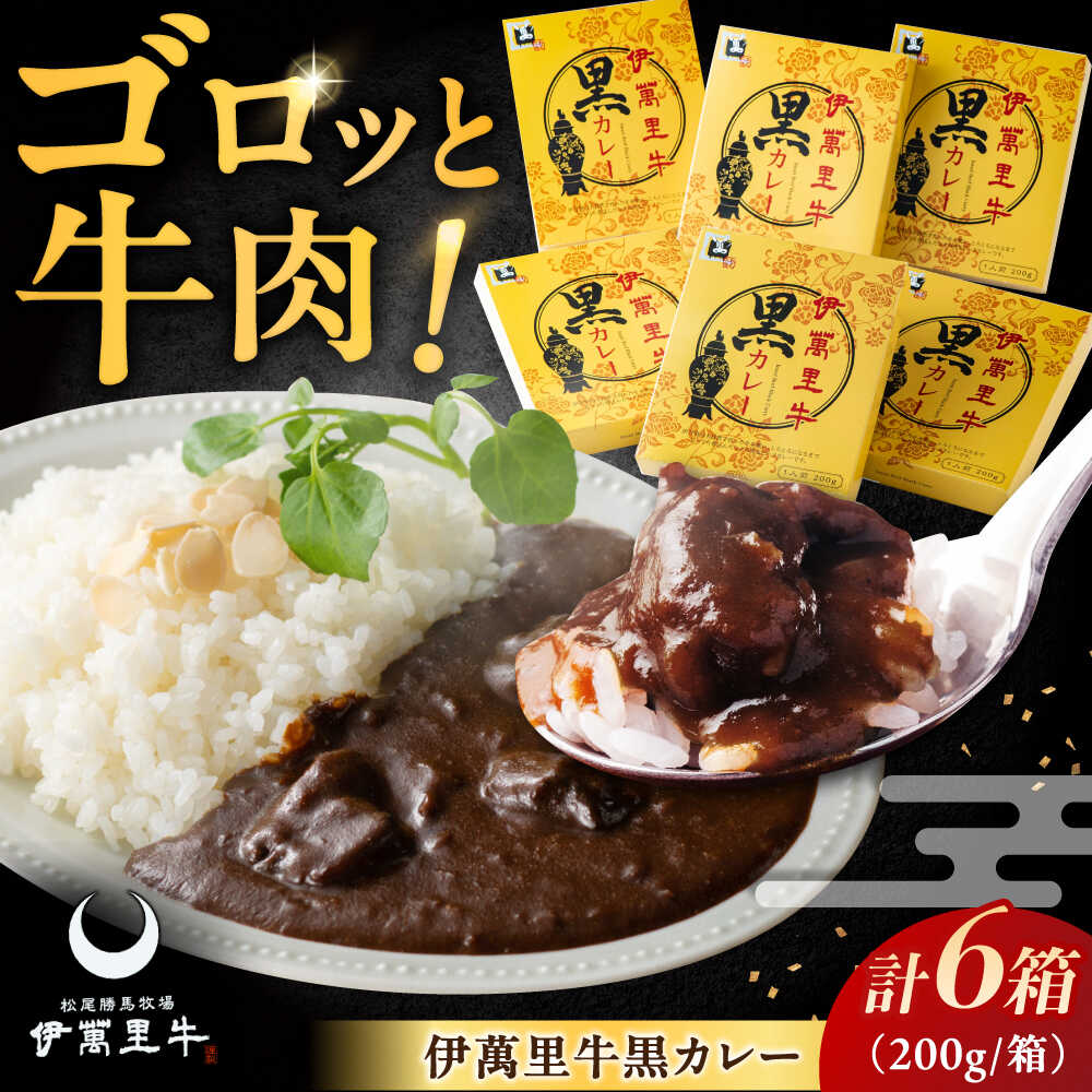 【ふるさと納税】伊萬里牛黒カレー 6食分（200g×6箱） / 伊万里牛 伊萬里牛 牛肉 カレー / 佐賀県 / まつお食肉卸株式会社 [41AECZ016]