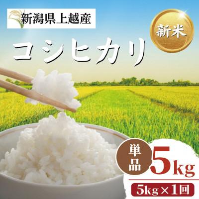 ふるさと納税 上越市 【令和8年12月以降配送】令和8年産新潟県上越市産コシヒカリ5kg 新米先行予約