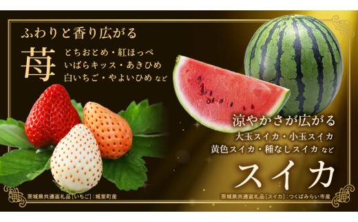 【定期便】 毎月1回連続6か月(計6回)【特選・桐箱2段】極上フルーツ10～12種「極み」セット（茨城県共通返礼品） 定期便 頒布会 田舎の頑固おやじが厳選！ 人気 厳選 果物 くだもの 旬 旬の果物