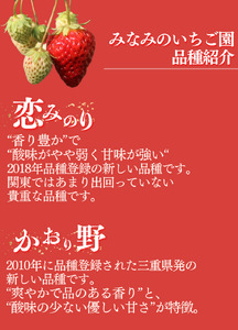 【2025年3月以降配送】完熟冷凍イチゴ　2kg（約7.6パック相当） 恋みのり、かおり野　から厳選
