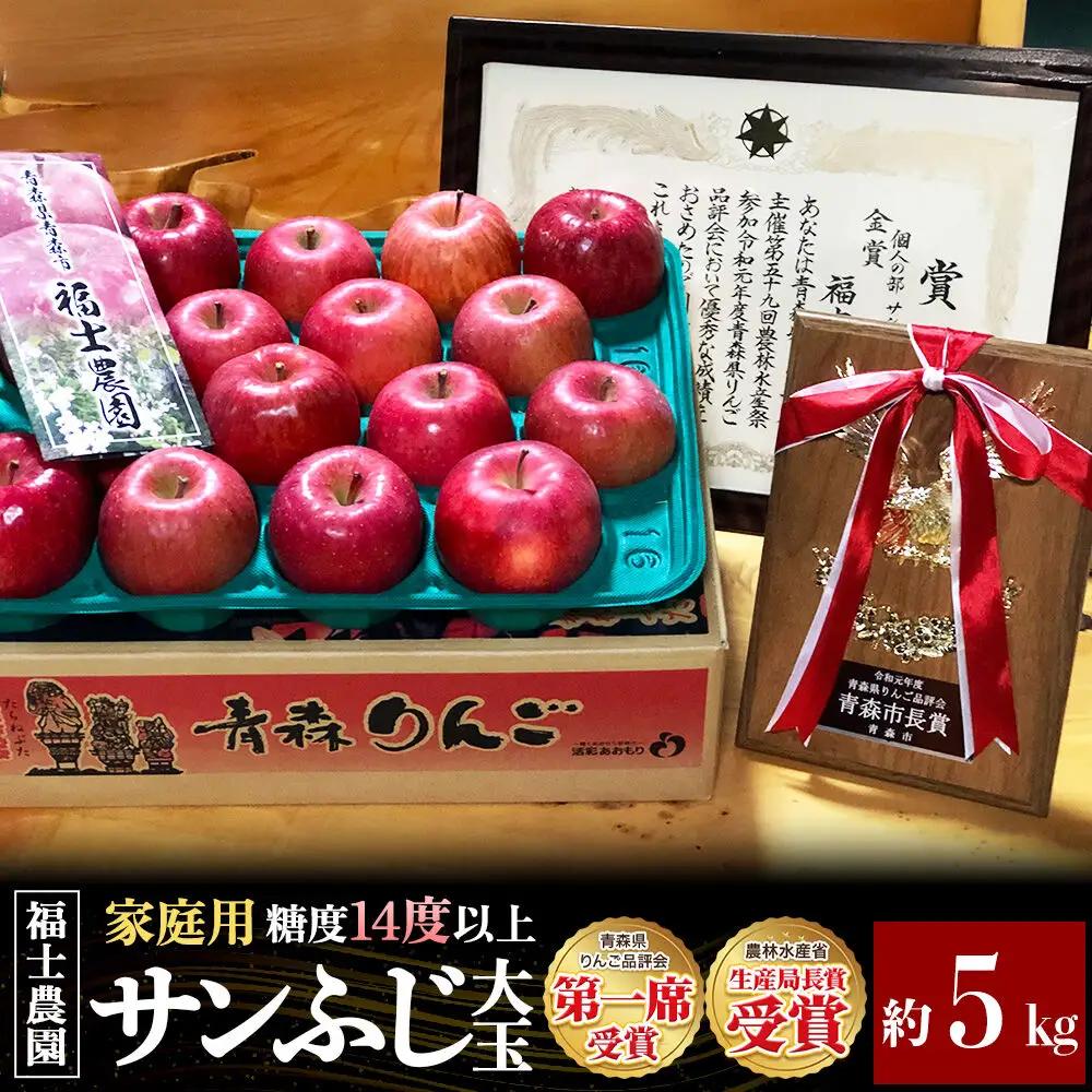 りんご サンふじ 家庭用 大玉 約5kg【11月～発送】りんご