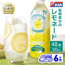 【ふるさと納税】 サンA 宮崎育ちのレモネードPET （500ml×48本）【6ヶ月定期便】【全6回 飲料 栄養機能食品 レモン 檸檬 マルチビタミン配合 PET セット ジュース 長期保存 備蓄 九州 宮崎県産 川南町 持運び簡単 送料無料 F3030t6】