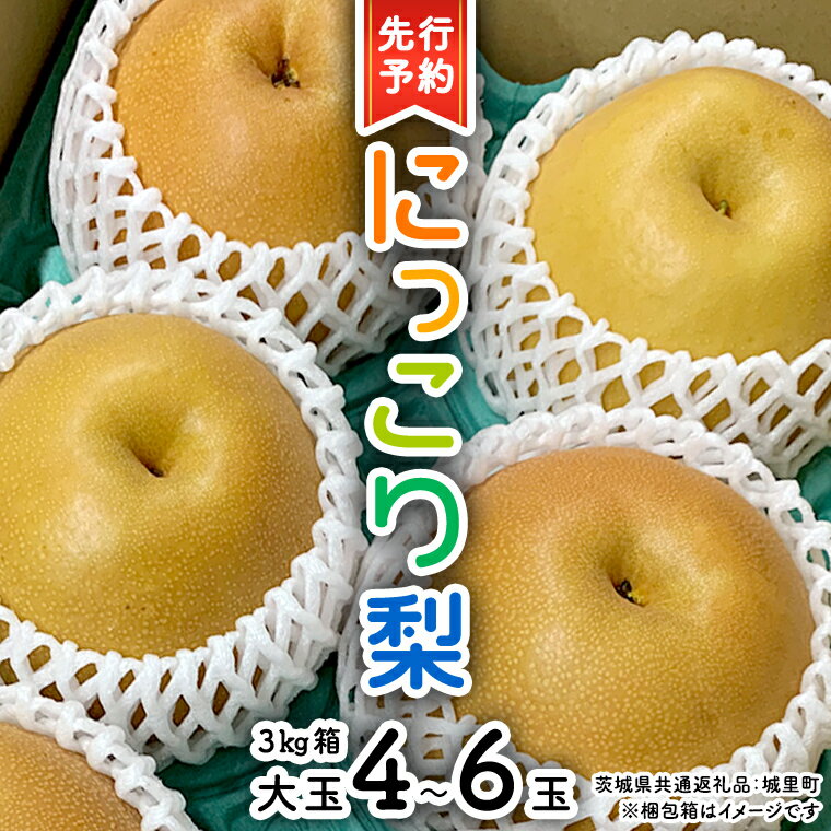 【ふるさと納税】【 先行予約 】 にっこり梨 約3kg 箱 大玉 4玉～6玉 ( 茨城県共通返礼品 城里町 ) 2025年11月上旬から発送開始 フルーツ 甘い お正月 クリスマス 大玉 直送 茨城 限定