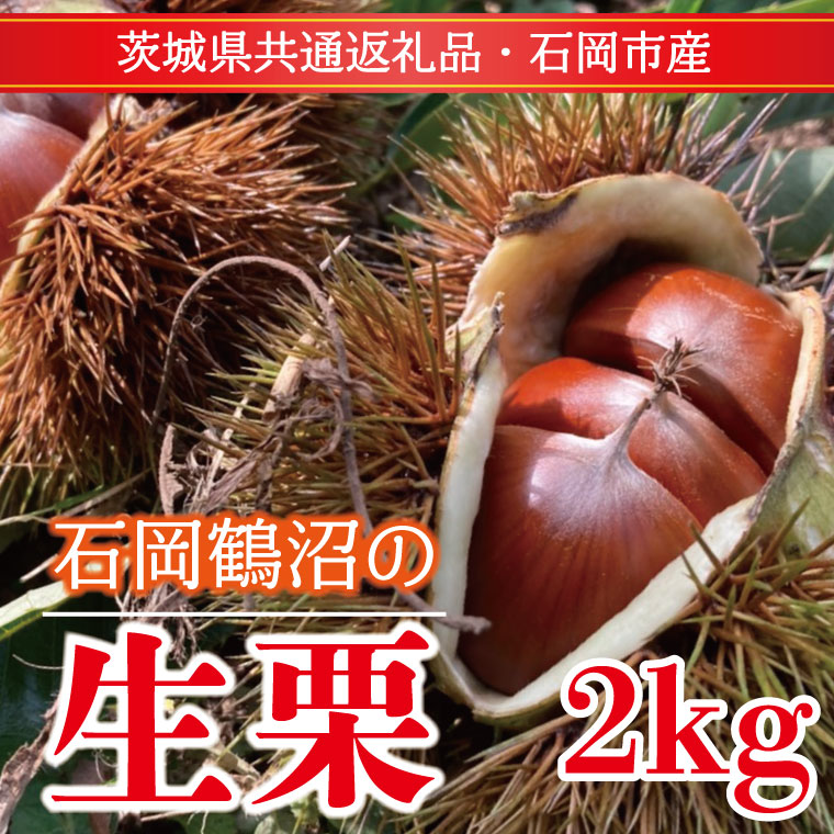【ふるさと納税】【先行予約】【2026年9月中旬より順次発送】石岡鶴沼の生栗 2kg（茨城県共通返礼品・石岡市産）｜茨城県 行方市 栗 生栗 秋 旬 無農薬(ER-2-1)