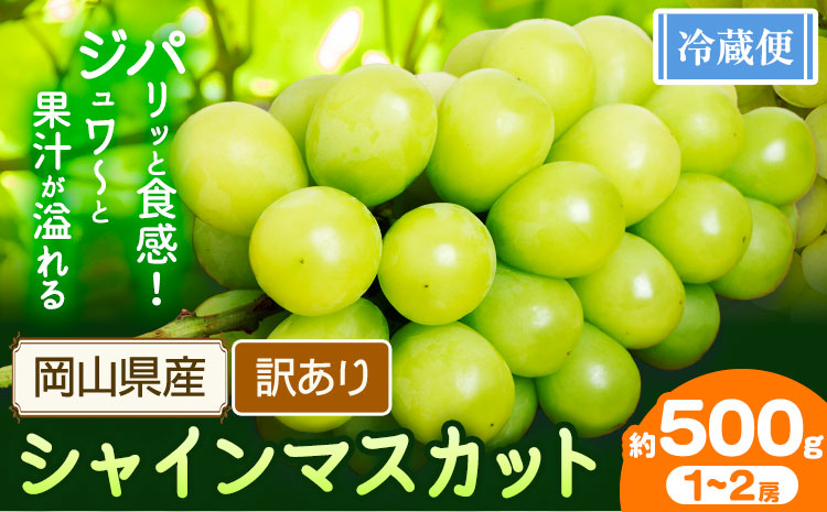 訳あり シャインマスカット 約500g 1～2房 【配送不可地域あり】 花田青果株式会社《2026年9月上旬-10月末頃出荷》---124_c2532_9a10m_25_8000_500g---