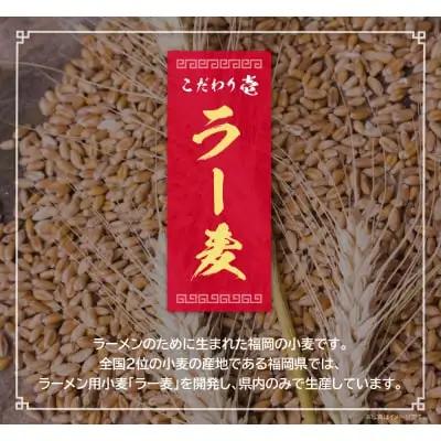 Z56-01 博多とんこつラーメン5食（ラー麦使用） ラーメン
