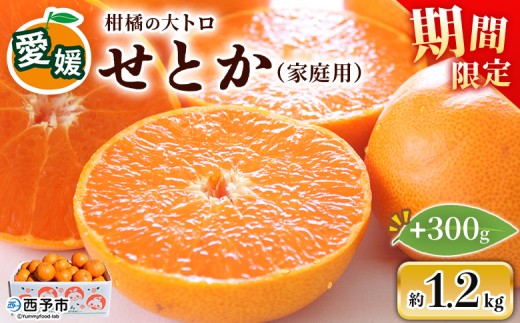 先行予約＜せとか（家庭用）約1.2kg＋300g＞ 自宅用 訳あり ワケアリ 果物 くだもの フルーツ ミカン みかん セトカ 蜜柑 高級柑橘 柑橘の大トロ 柑橘 特産品 笑丸 愛媛県 西予市 常温『2027年3月上旬～4月上旬頃に順次出荷予定』