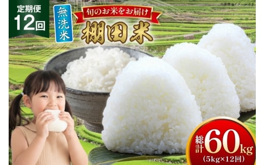 米 令和7年 無洗米 棚田米 5kg 2袋 計 10kg 12回 定期便  総計120kg [ひらど新鮮市場 長崎県 平戸市 hr42bgy400195] 令和6年産 コメ こめ ごはん ご飯 白米 精米